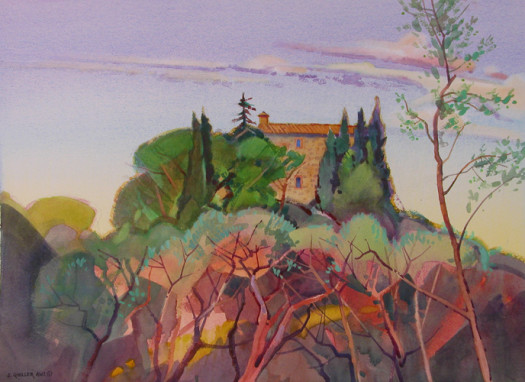 Olive Grove & Villa near San Lorenzo Di Colline Olive Grove & Villa near San Lorenzo Di Colline