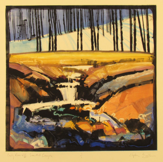 Early Spring, Saw Mill Canyon #3