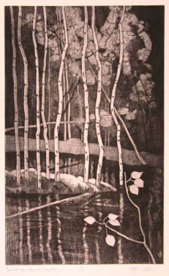 Pond & Aspen Patterns by Sunnyside Pond & Aspen Patterns by Sunnyside