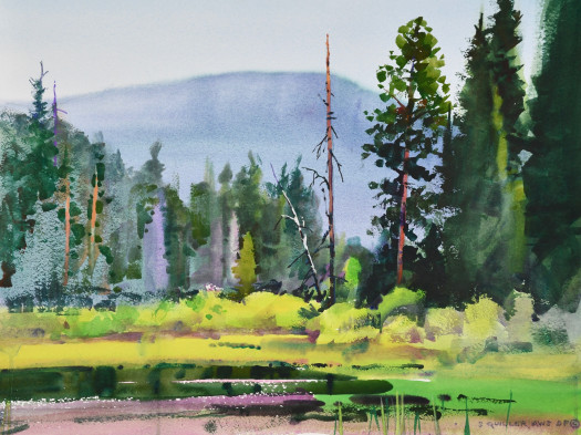 Pond by Tahoe Lake
