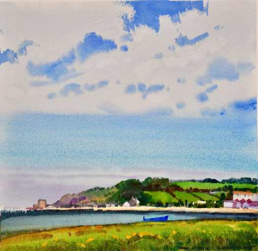steve quiller cornwall england dsc
