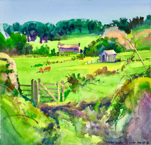 steve quiller cornwall england dsc