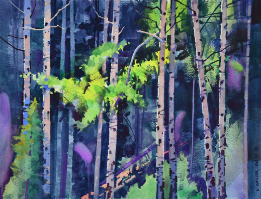 Summer Aspen Summer Aspen