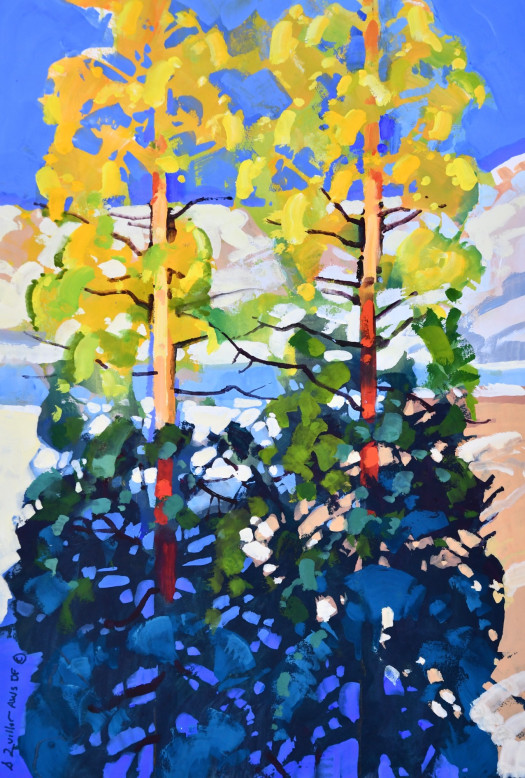 Two Spruce Two Spruce